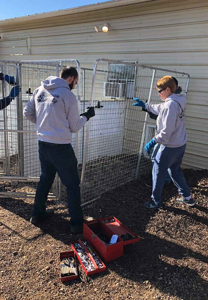 Group of volunteers building an outdoor pet enclosure.
