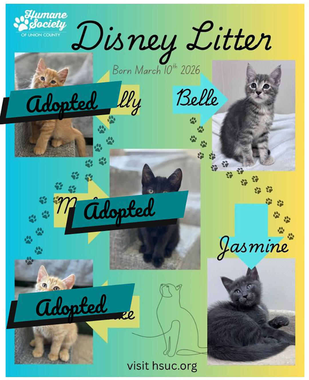 Adopted - 1 adopt cat